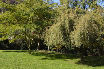 Rénovation d'une maison de campagne à Campan